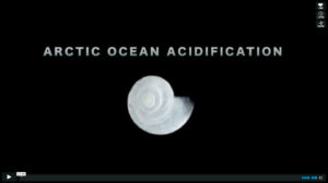 Arctic ocean acidification film